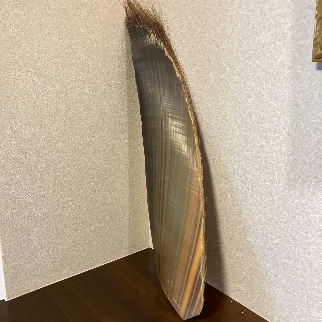 珍品　標本　クジラのヒゲ板