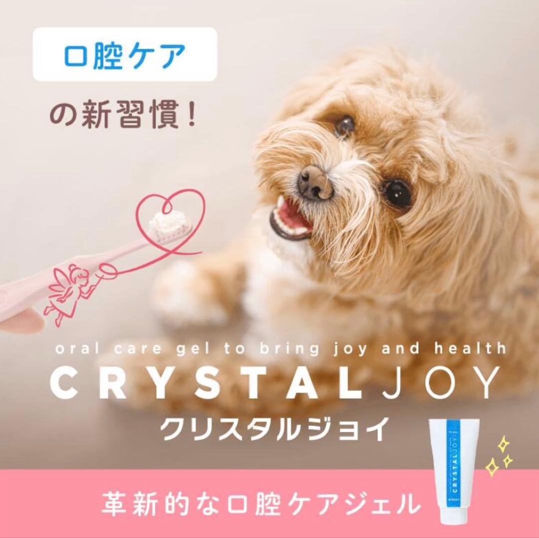 CRYSTALJOY クリスタルジョイ デンタルケアジェル×3