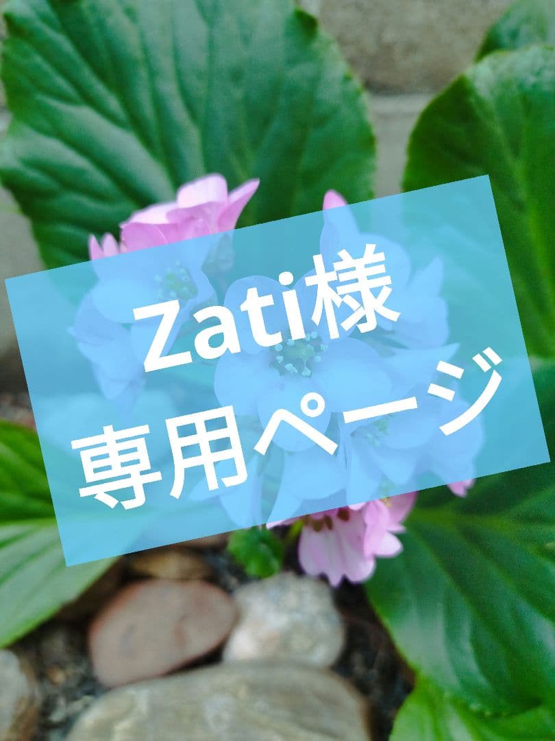 Zatiページ