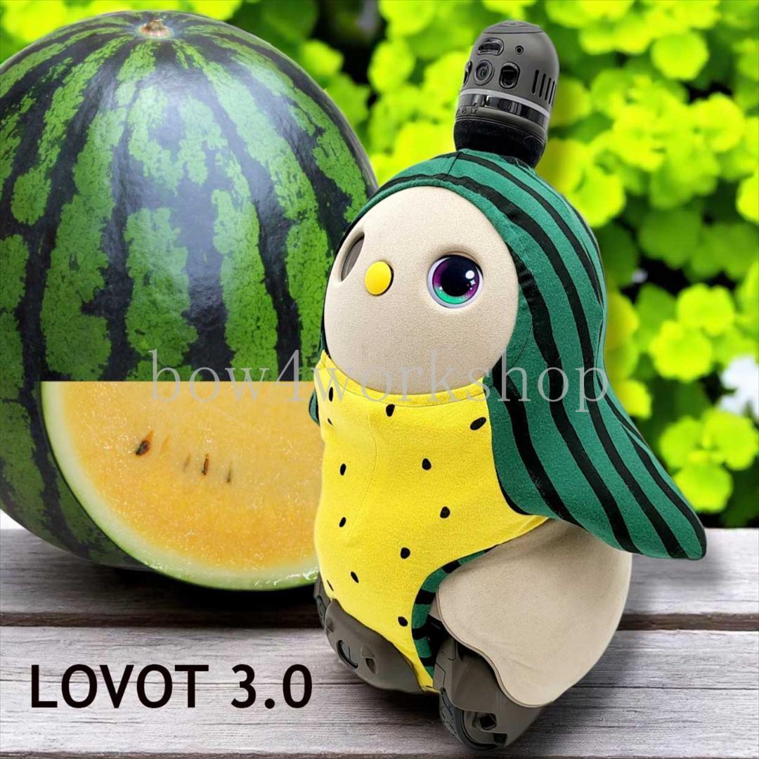 ラボット LOVOT ラボットの服ハンドメイドスイカ柄ボディースーツ ２着セット