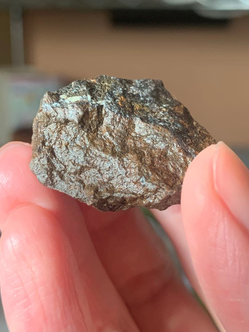 世界最古の石　46億年前の隕石コンドライト　太陽系最古の隕石　石質隕石　鉄隕石