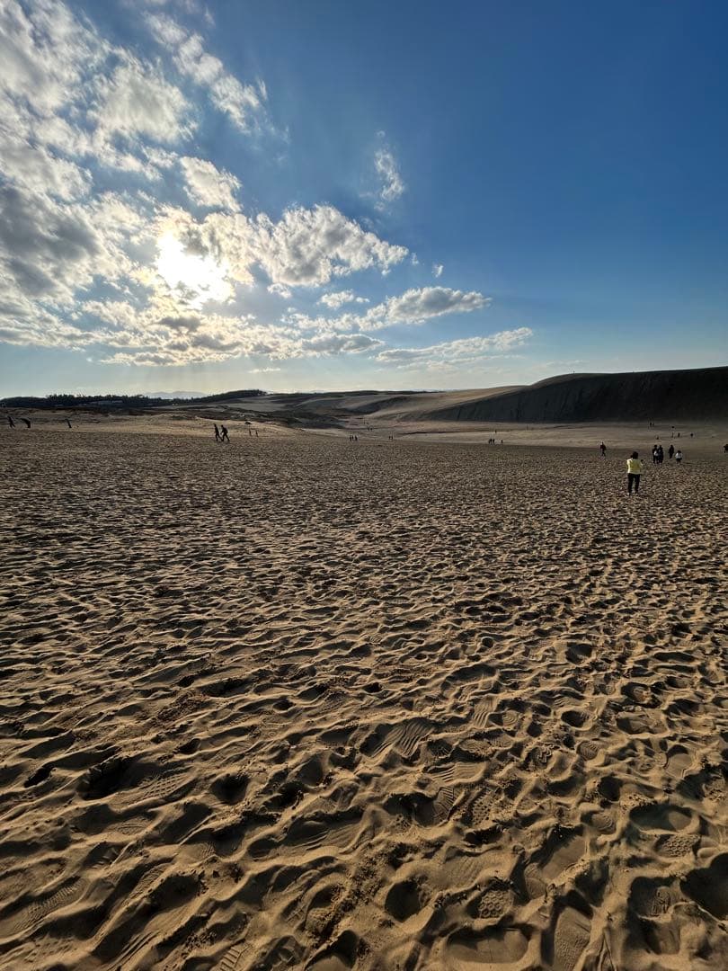 即購入OK　horizontal zip purse green