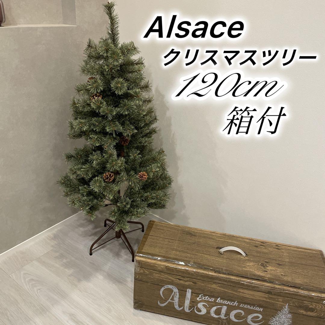 箱付　Alsace クリスマスツリー120cm