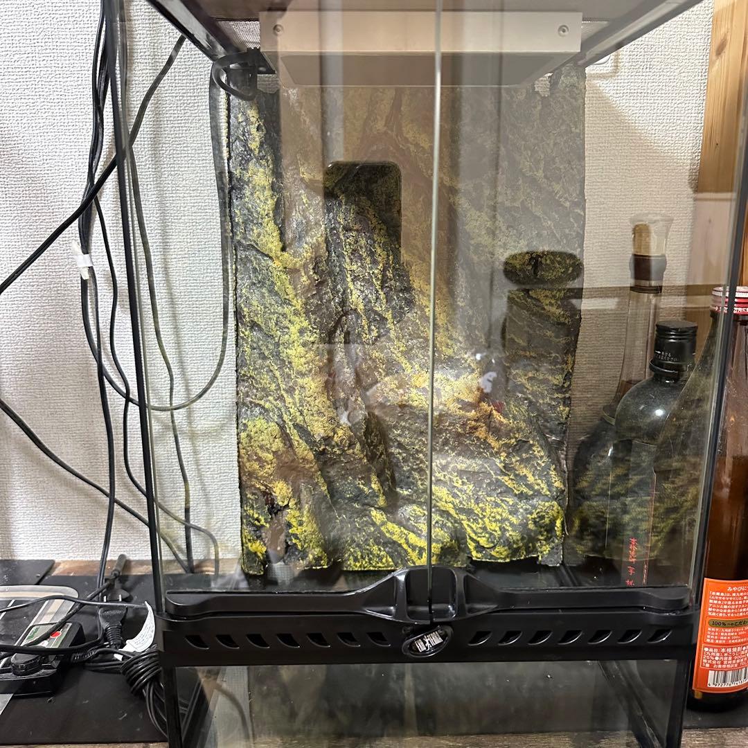 エキゾテラ　グラステラリウム3045 フルセット