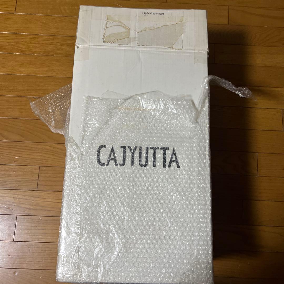 CAJYUTTA 業務用ミキサー