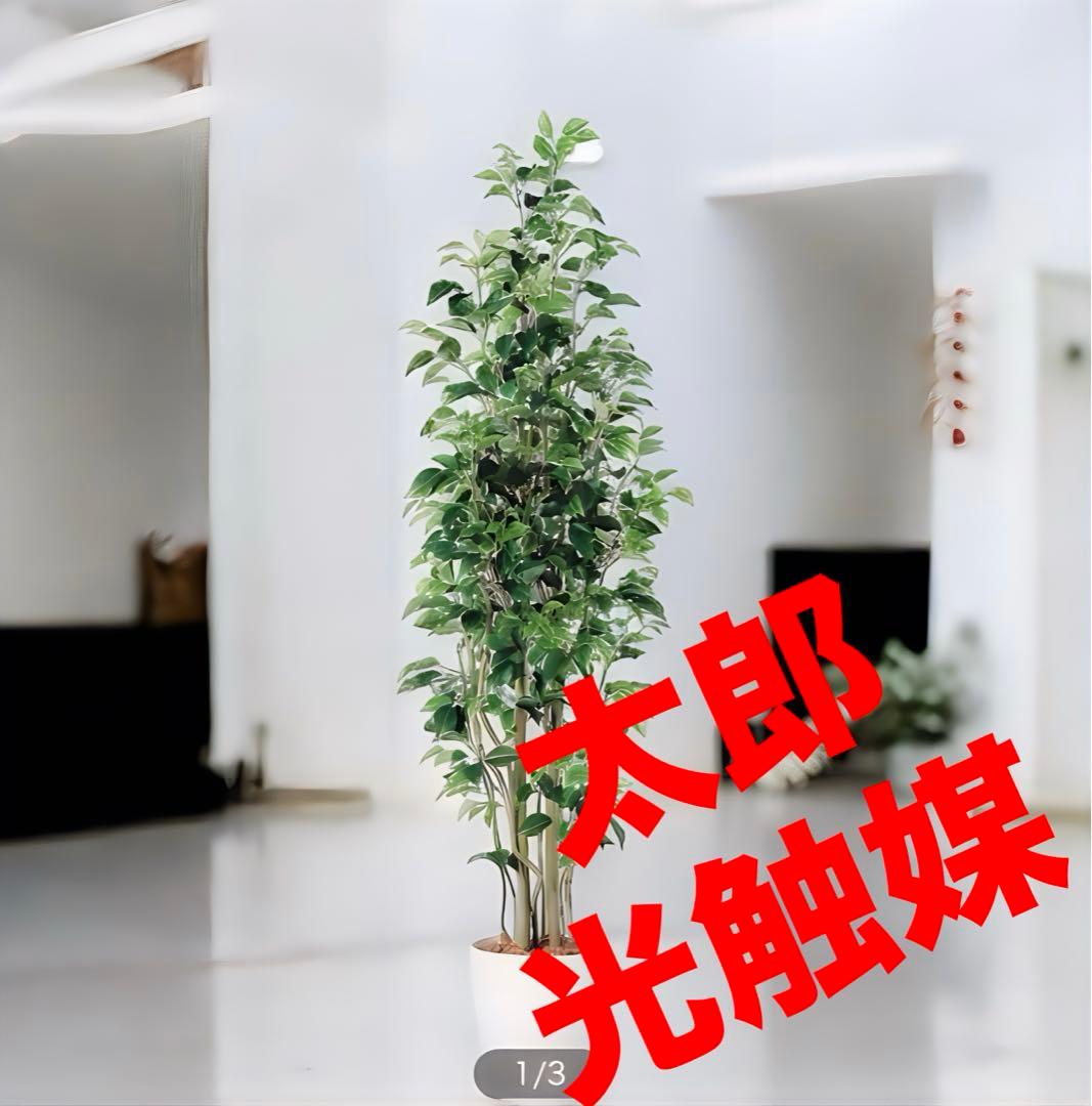 光触媒　人工観葉植物　ウォールグリーン　フェイクグリーン　ベンジャミンスリム15