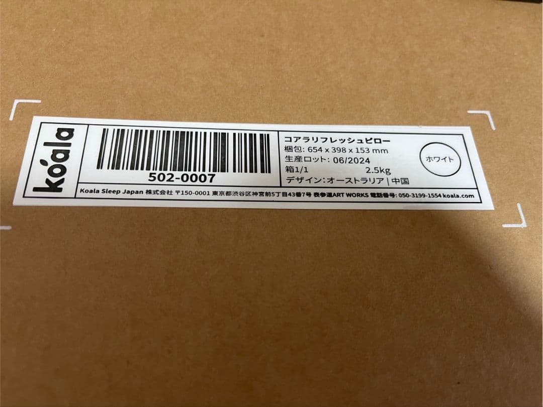 Koala コアラリフレッシュピロー 65×38×15cm