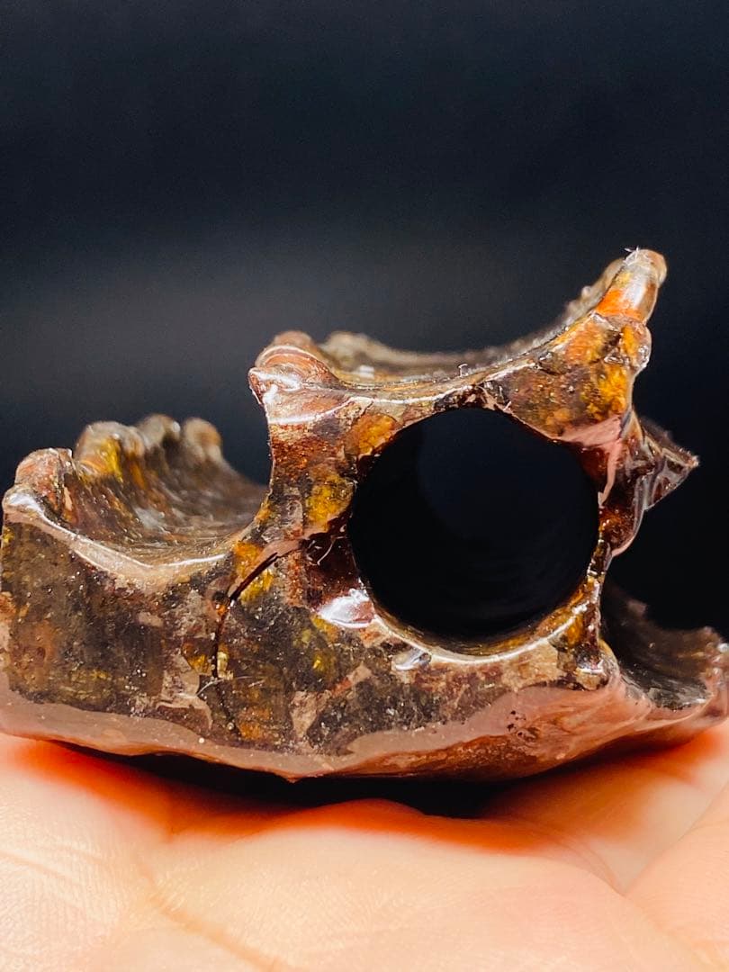 パラサイト隕石 258g 隕石 石鉄隕石 筆立て セリコ隕石 隕石原石