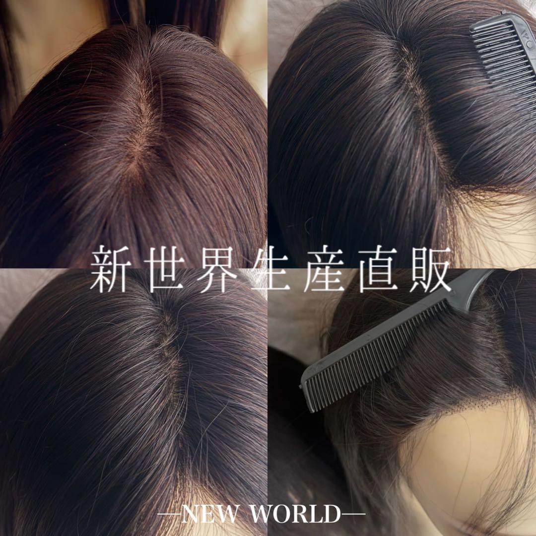 人毛100%　ウィッグ　新世界ご愛用リピーター様割引上限2500円適用専用ページ