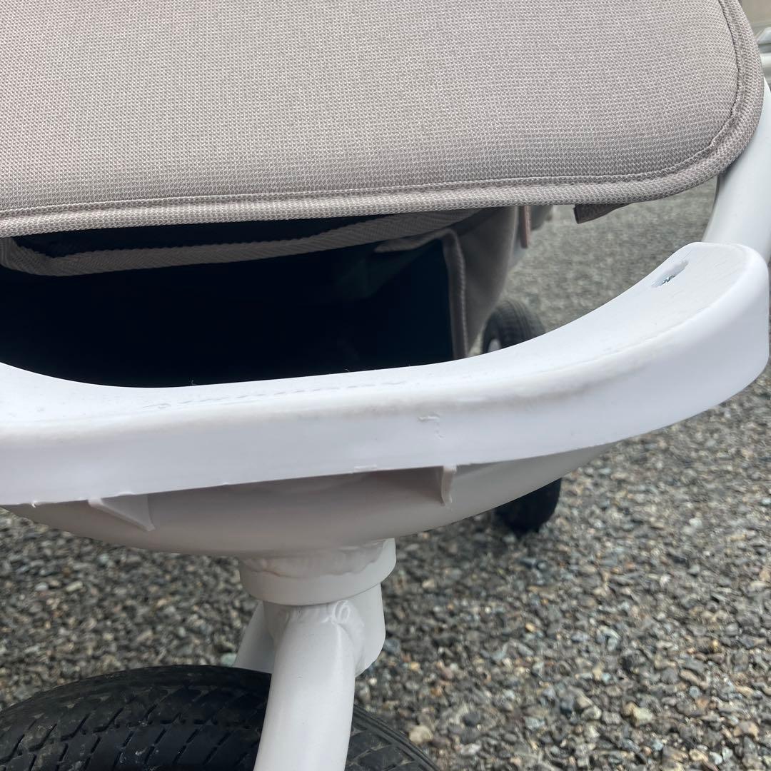 エアバギー ココダブルEX クローバー