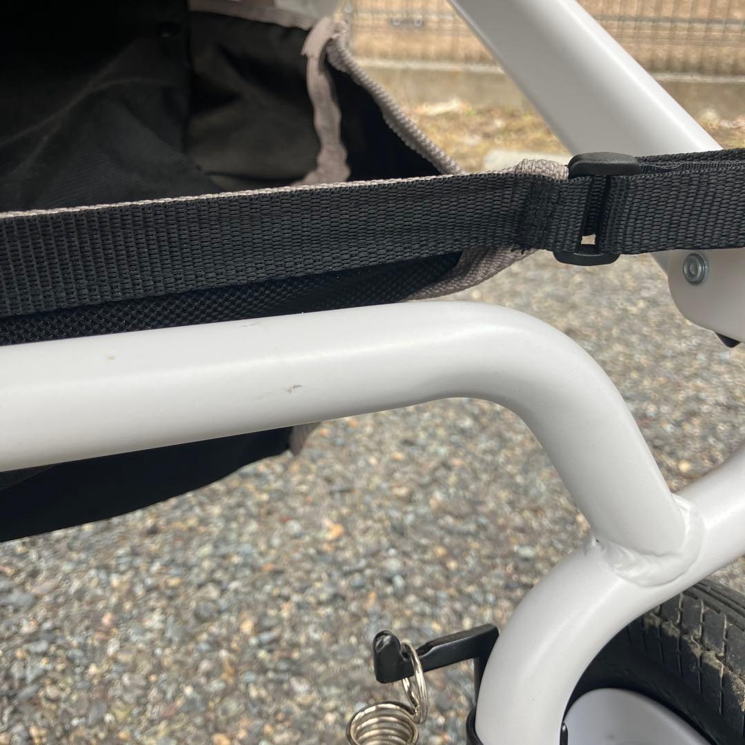 エアバギー ココダブルEX クローバー