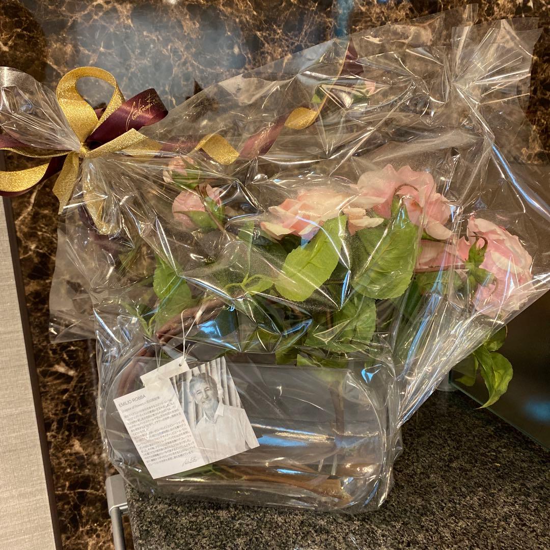 エミリオロバ EMILIO ROBBA Emilio Robba 造花