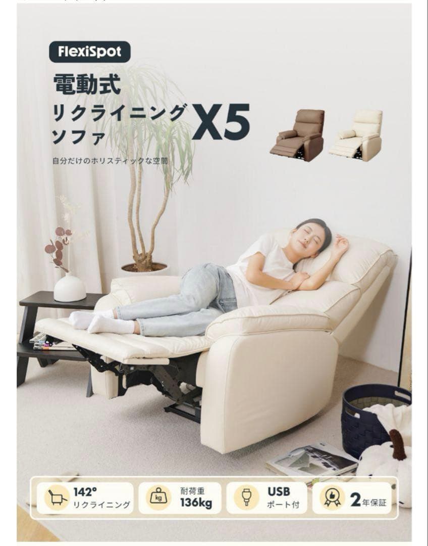 マユゲ犬　Flexispot 電動リクライニングソファ X5