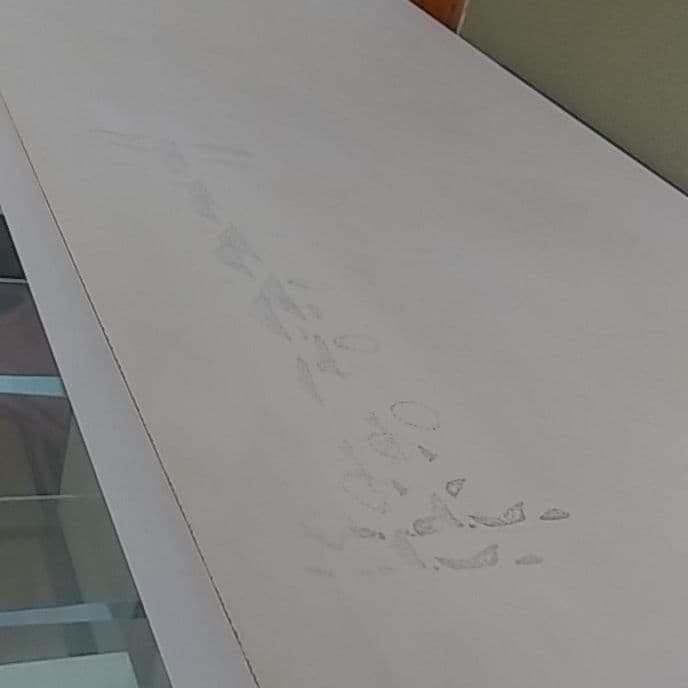 ディスプレイ棚です。