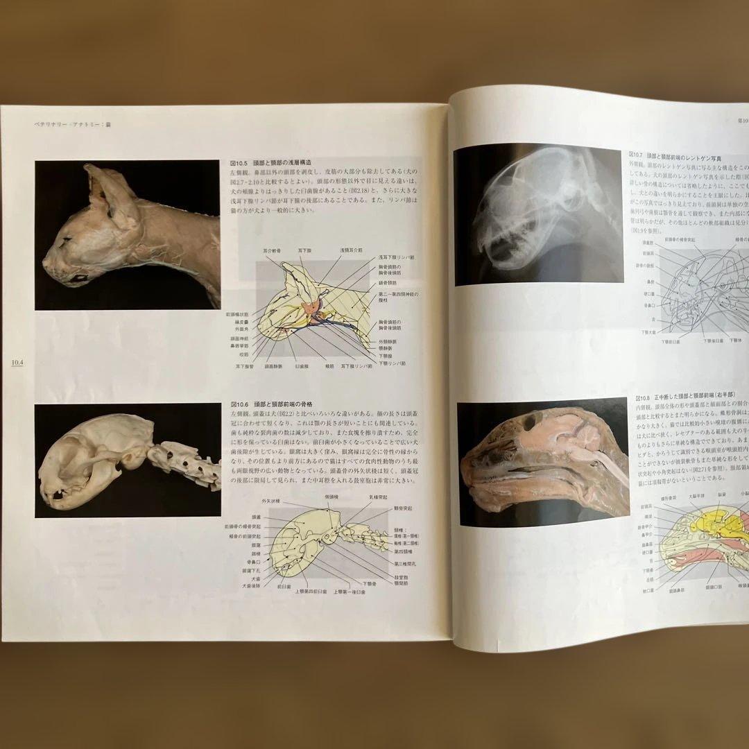 獣医専門書　ベテリナリ－・アナトミ－ 犬と猫の解剖カラ－アトラス