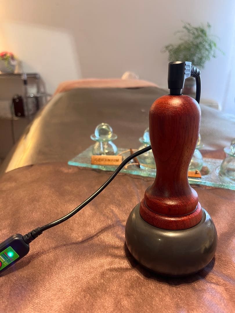 【1月末特価】ベン石温熱器ホットストーンセラピー日本、海外使えるコンセント付