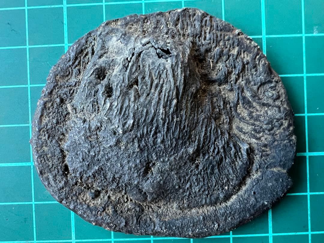 外国銀貨　シャム銀錠