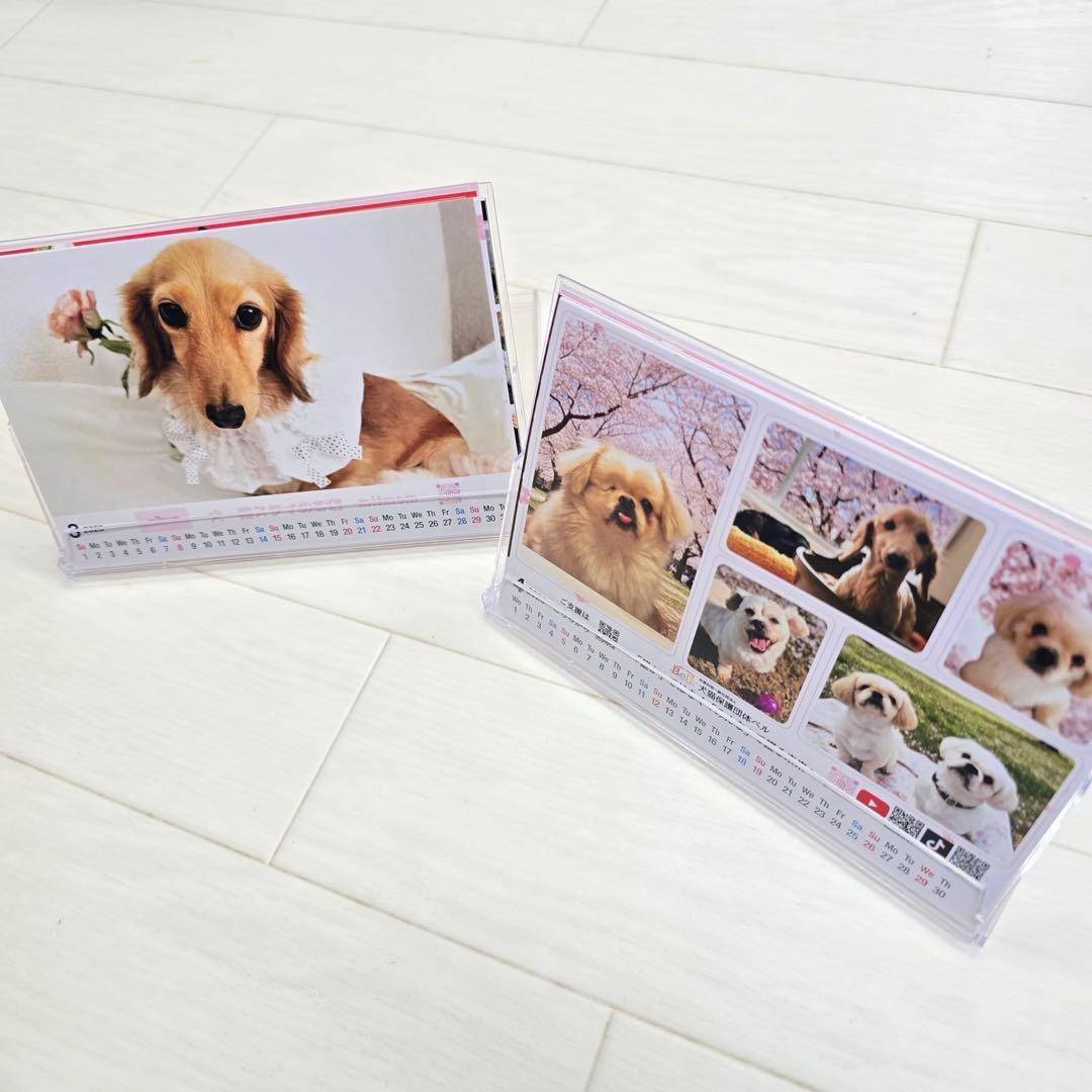 ③『犬』 卓上チャリティーカレンダー5枚セット