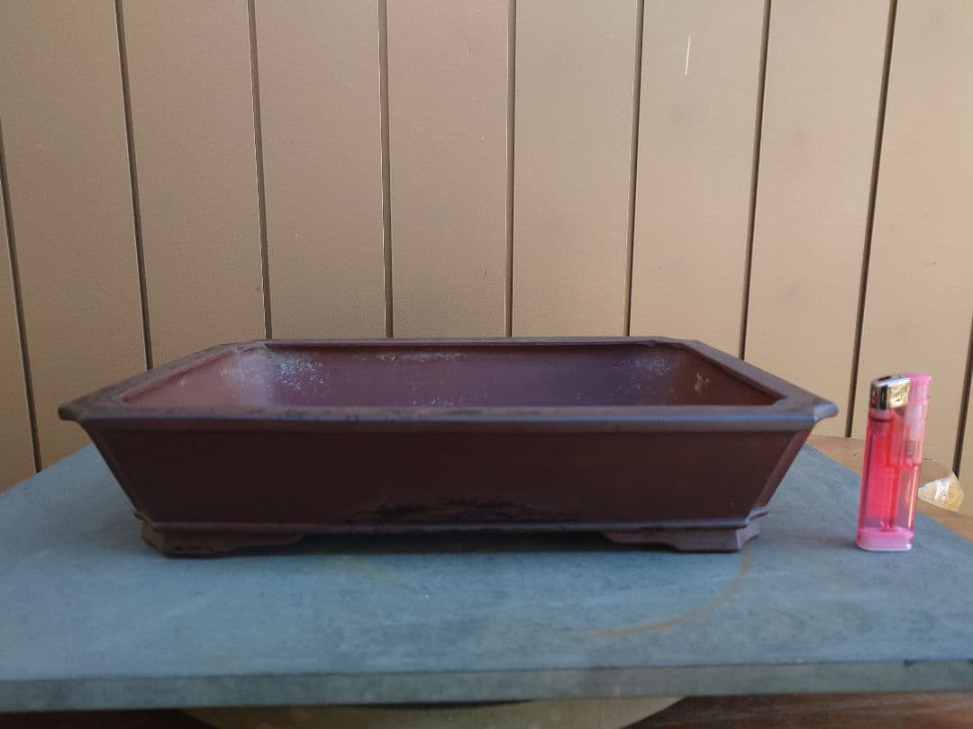 盆栽　鉢　中国宜興　玉芬　幅33.5cm