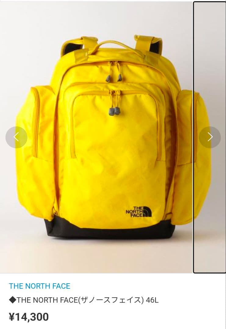 THE NORTH FACE （ザノースフェイス）46Lリュックサック　ジュニア