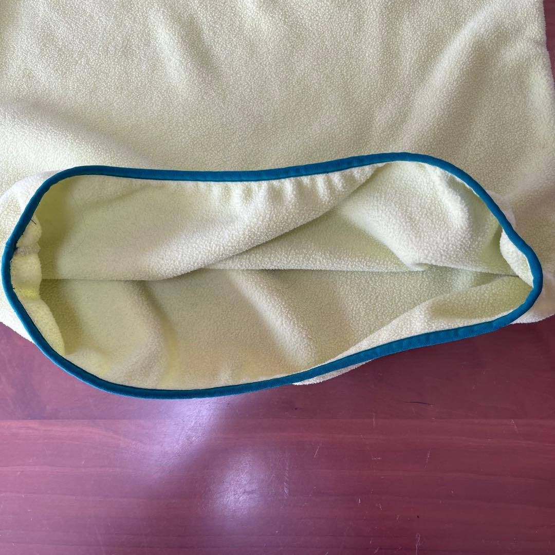 ★パタゴニアスナップT レディース　Sサイズ　レモンイエロー人気色