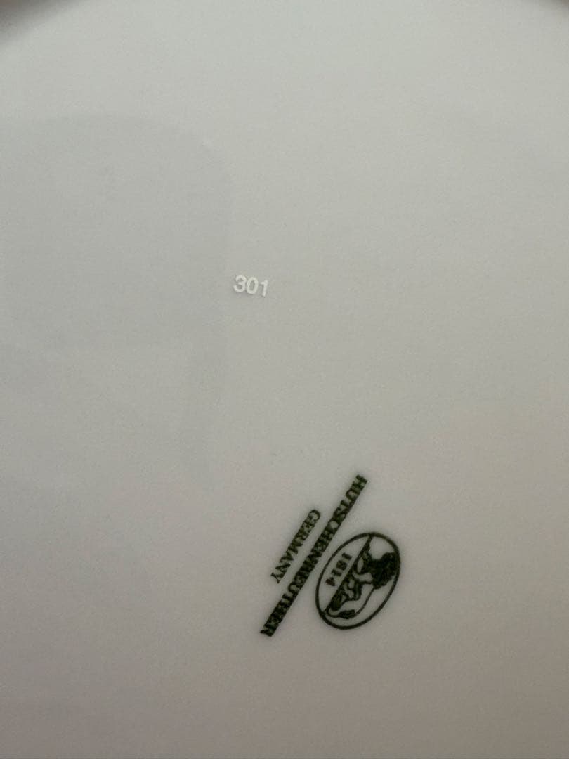 HUTSCHENREUTHERフィッチェンロイターディナー皿6枚セット