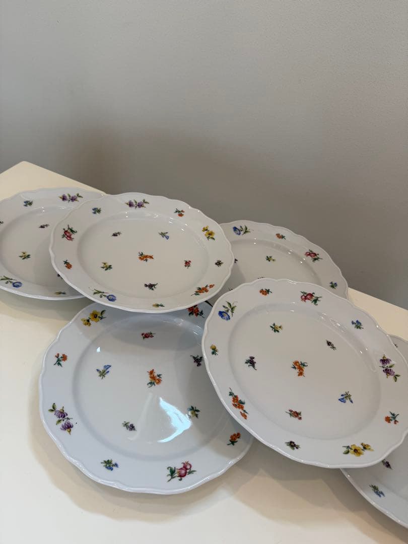 HUTSCHENREUTHERフィッチェンロイターディナー皿6枚セット