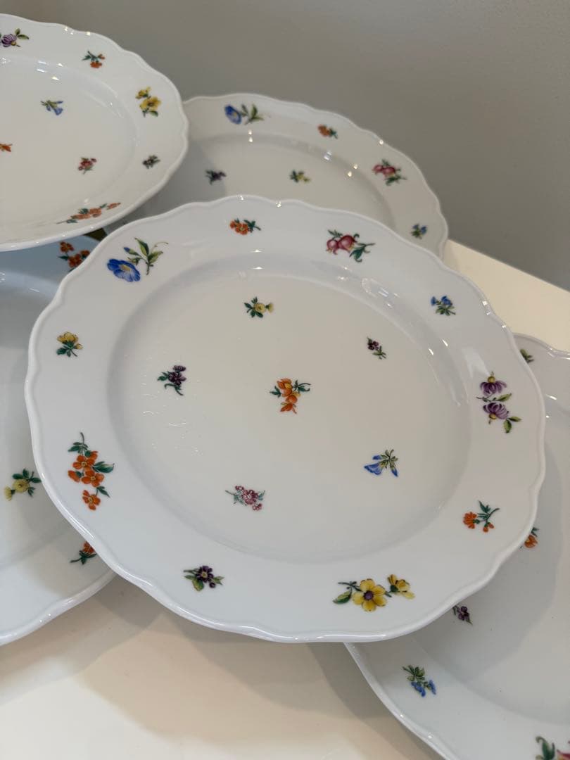 HUTSCHENREUTHERフィッチェンロイターディナー皿6枚セット