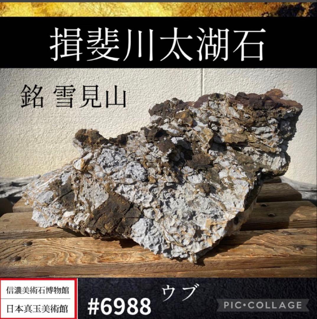 6988 揖斐川太湖石 ウブ 横42cm 14kg