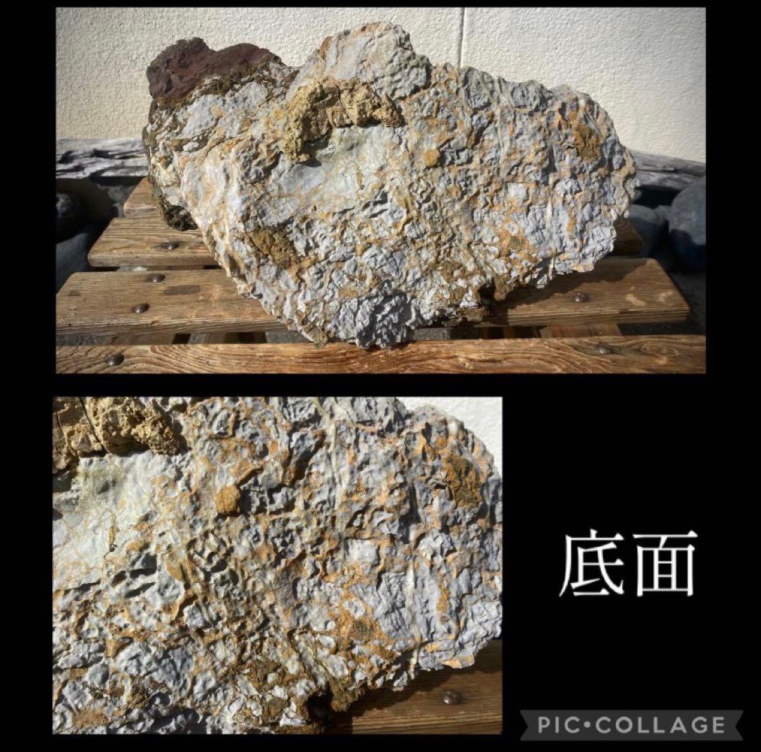 6988 揖斐川太湖石 ウブ 横42cm 14kg