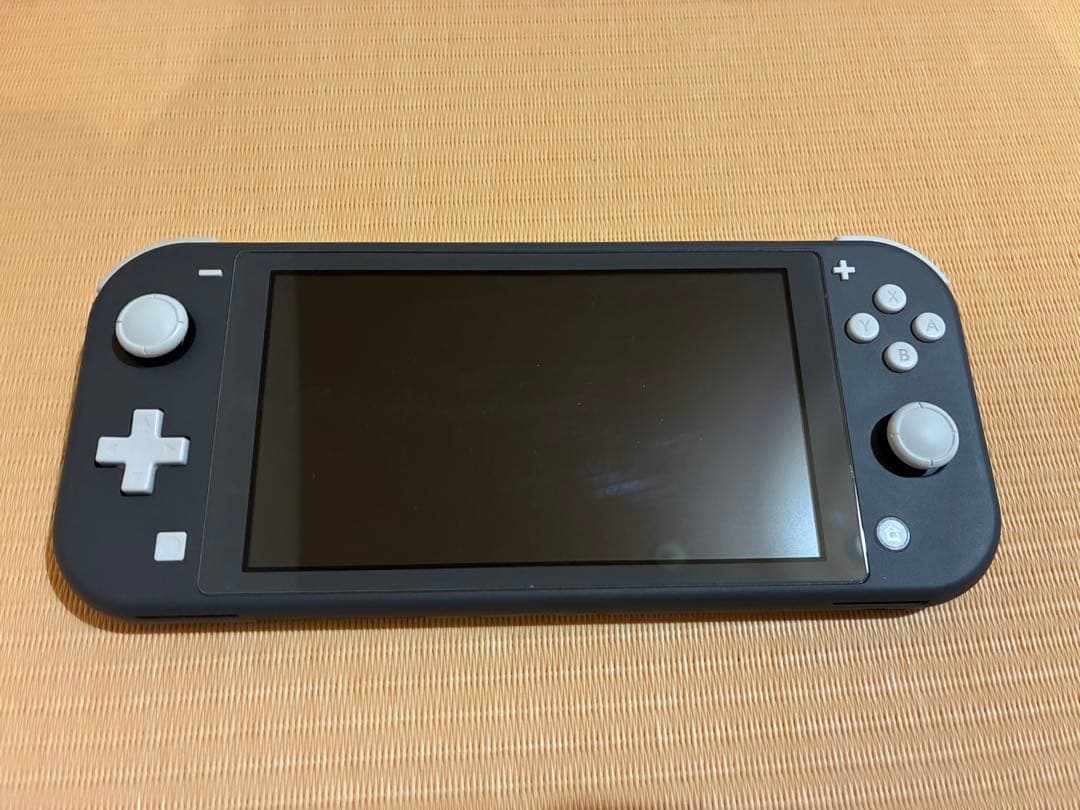 Nintendo Switch Lite グレー充電器付き 箱付き　ケース付き