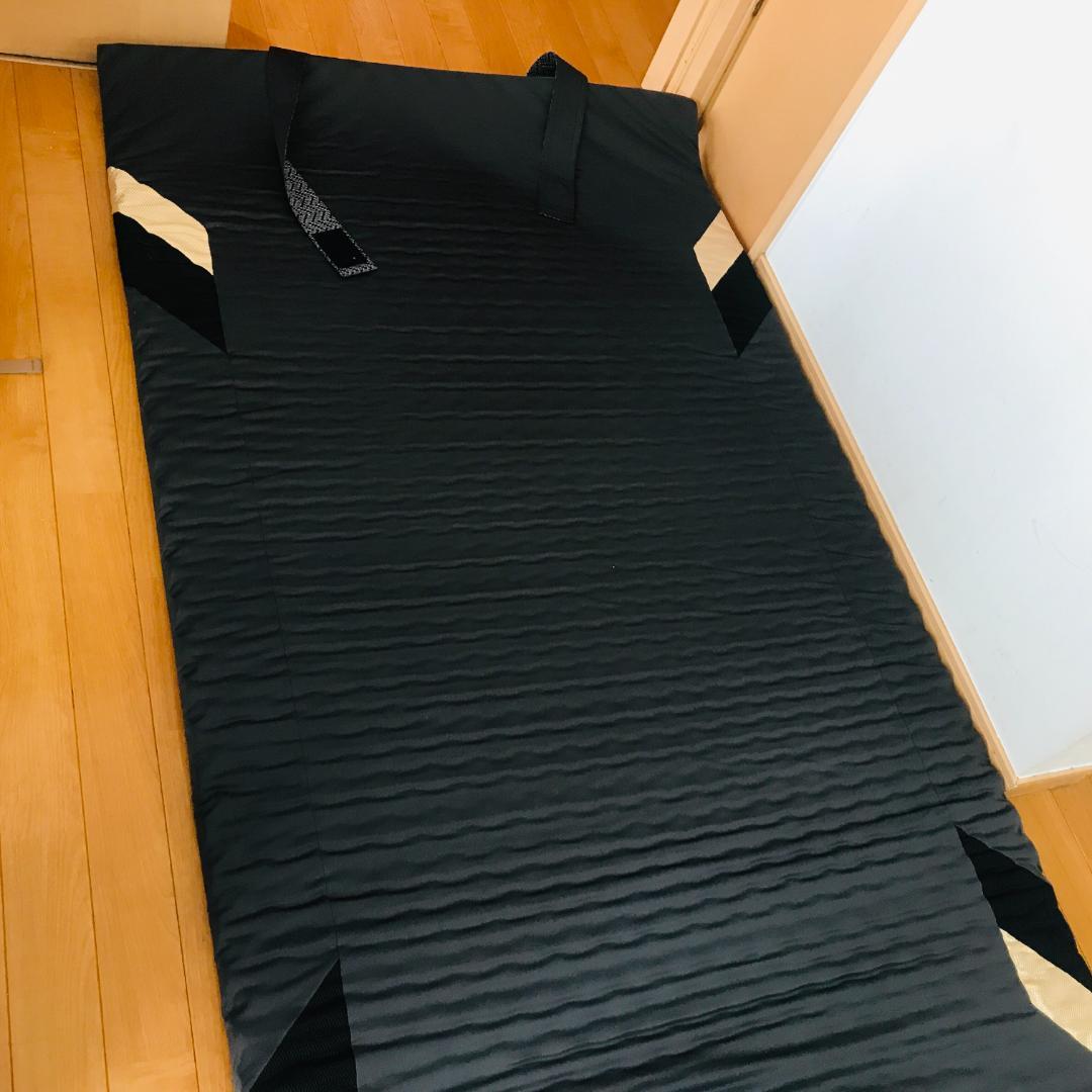 西川 エアーポータブル モバイルマット 限定ゴールドモデル