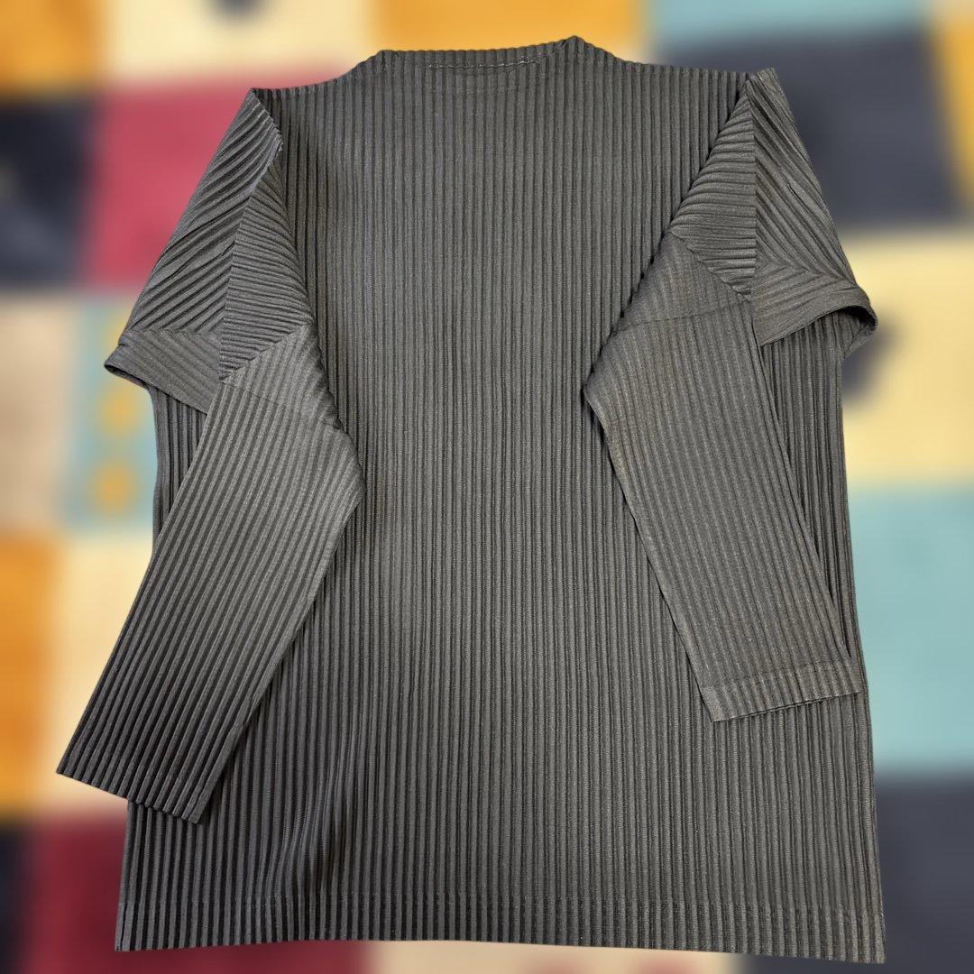 オムプリッセイッセイミヤケカットソー