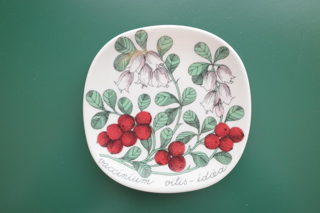 アラビア　ボタニカプレート　コケモモ