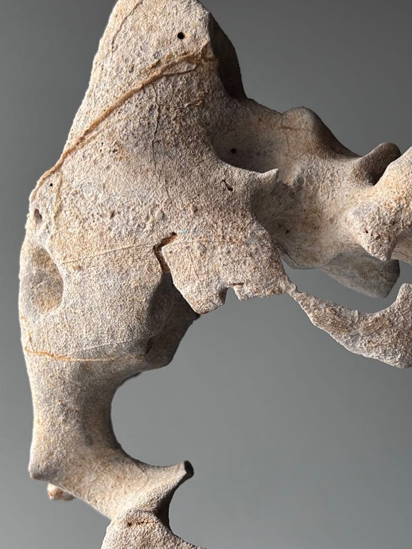 「清影」　天然石　太湖石　玲瓏石　鑑賞石　飾り石　中国美術　置物　水石　黑檀台座