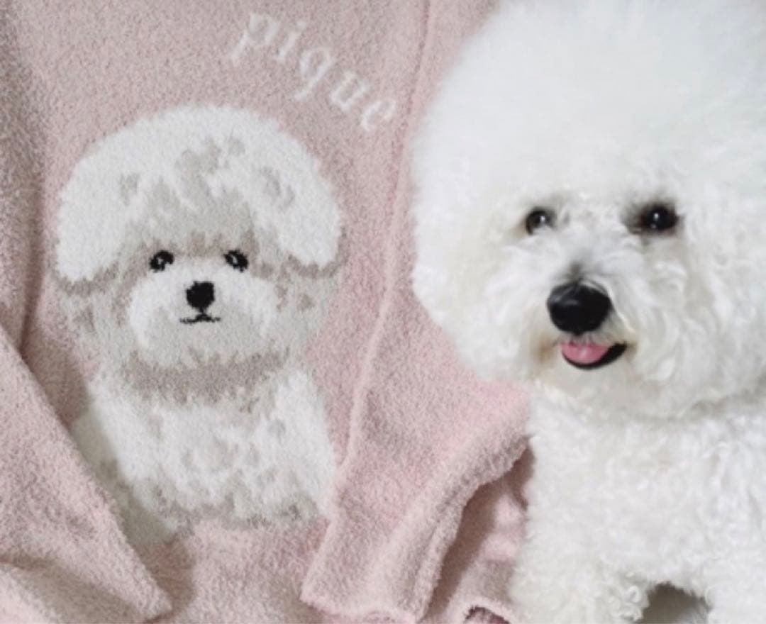 新品！ジェラピケお好きな方に！ビションプルオーバーふわもこパジャマ上下セット