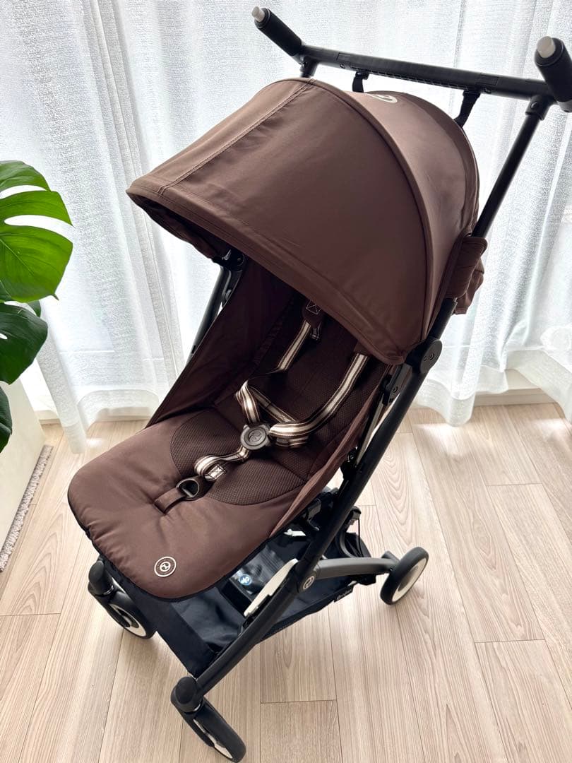 サイベックス　リベル2024年モデル　限定カラー