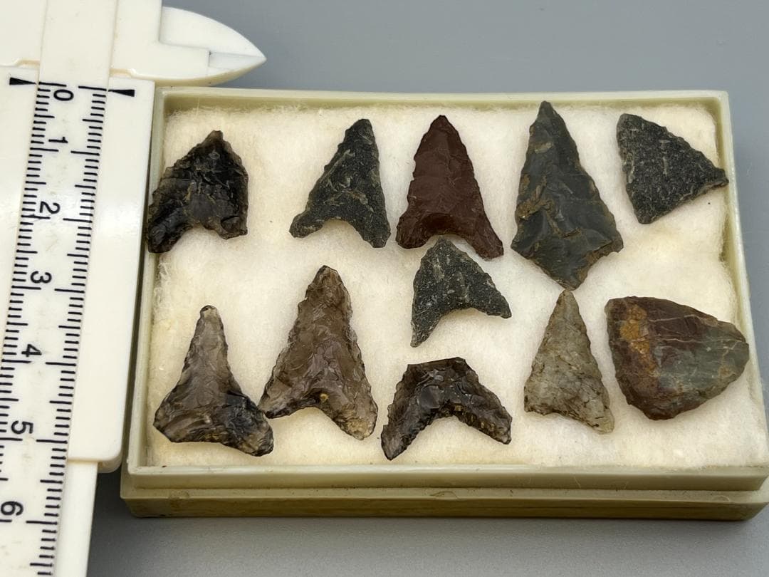 【海】石器時代 矢尻 打製石器 黒曜石 縄文時代 イグアノドン化石骨（断面）