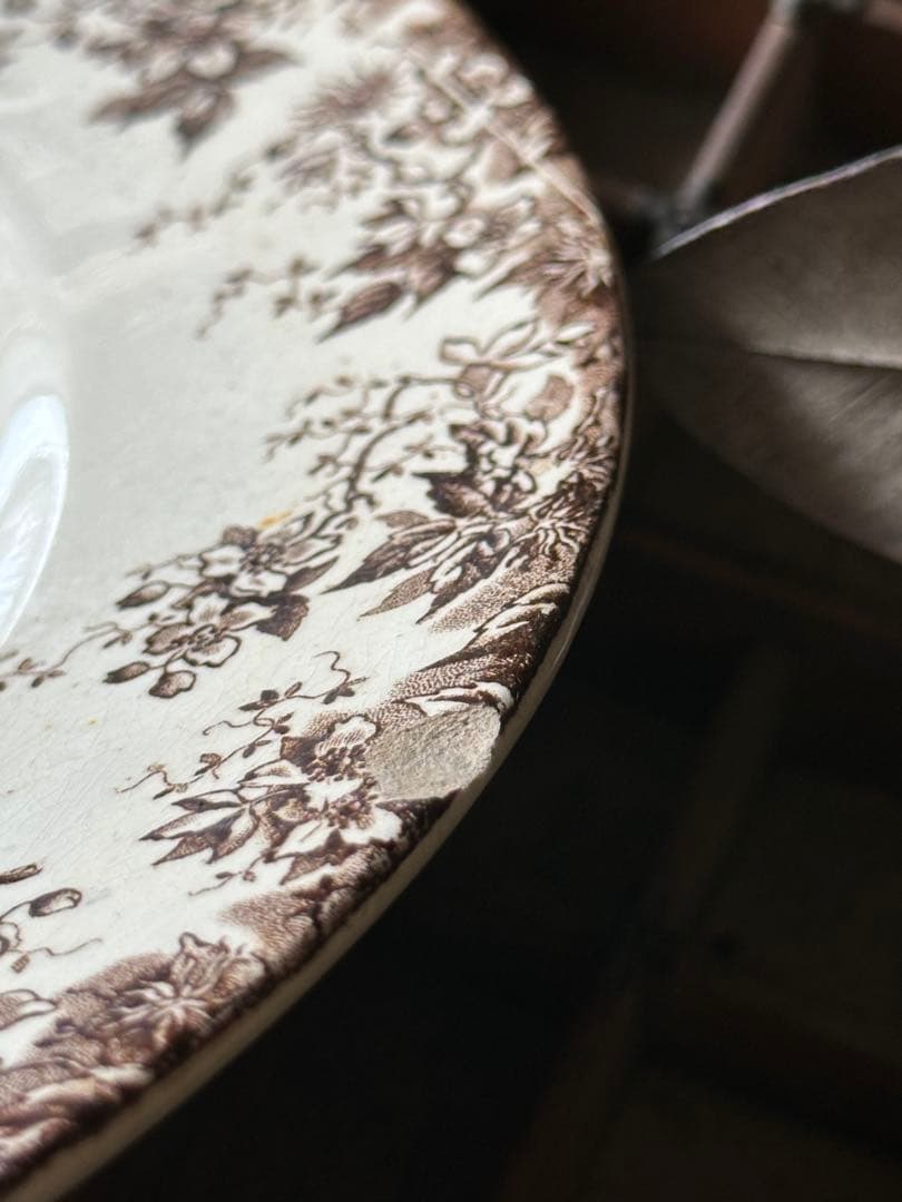 ⚫︎フランスアンティーク⚫︎ 大皿サルグミンヌ U&C Sarreguemines