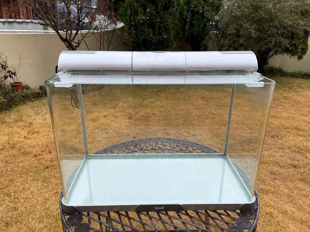 テトラTetra ラウンドグラスアクアリウム　RG-60曲げガラス水槽+ライト付