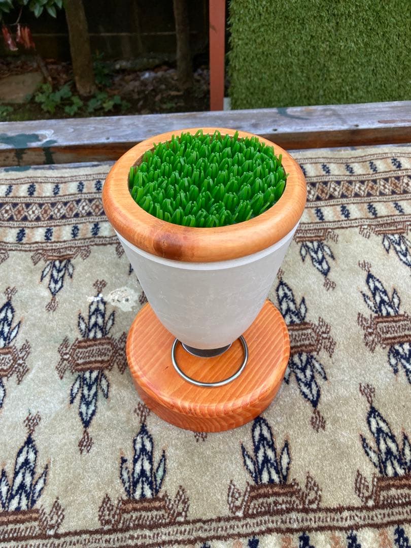 中型ファルコンブロック、猛禽パーチ（屋内用Mサイズ）