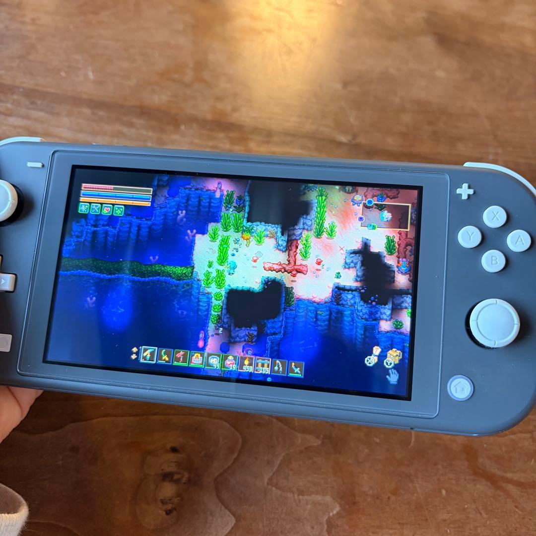Nintendo Switch Lite 本体+社外品ケース