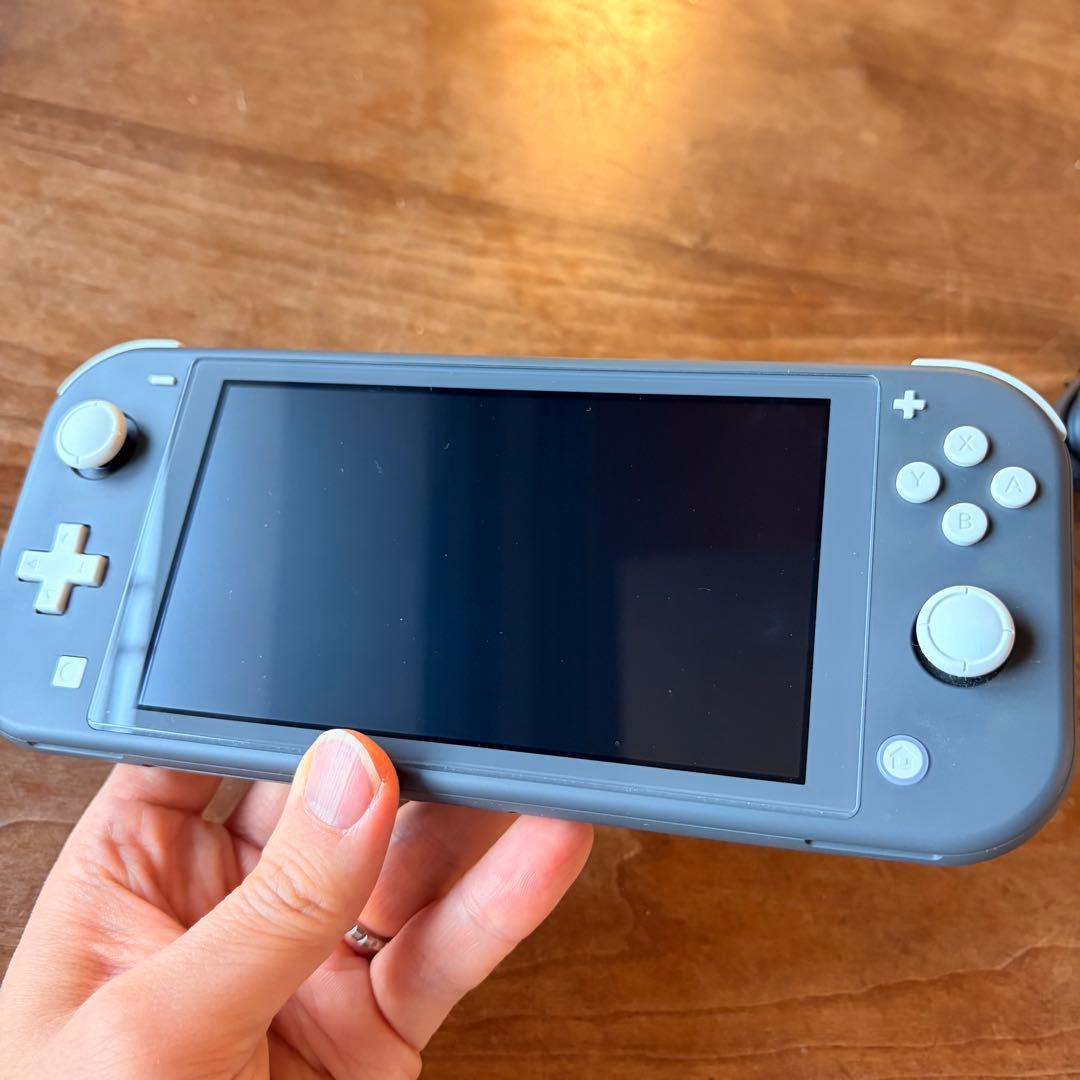 Nintendo Switch Lite 本体+社外品ケース