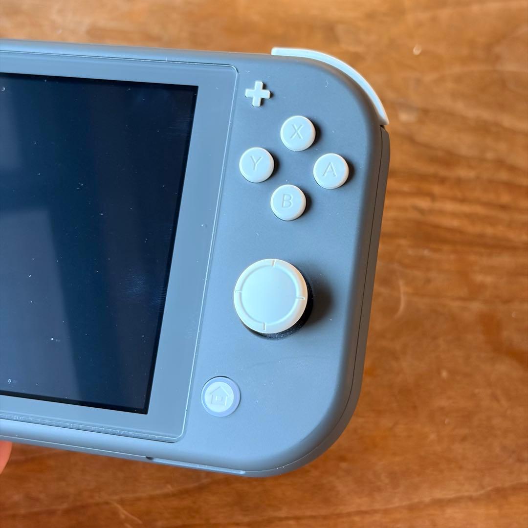 Nintendo Switch Lite 本体+社外品ケース