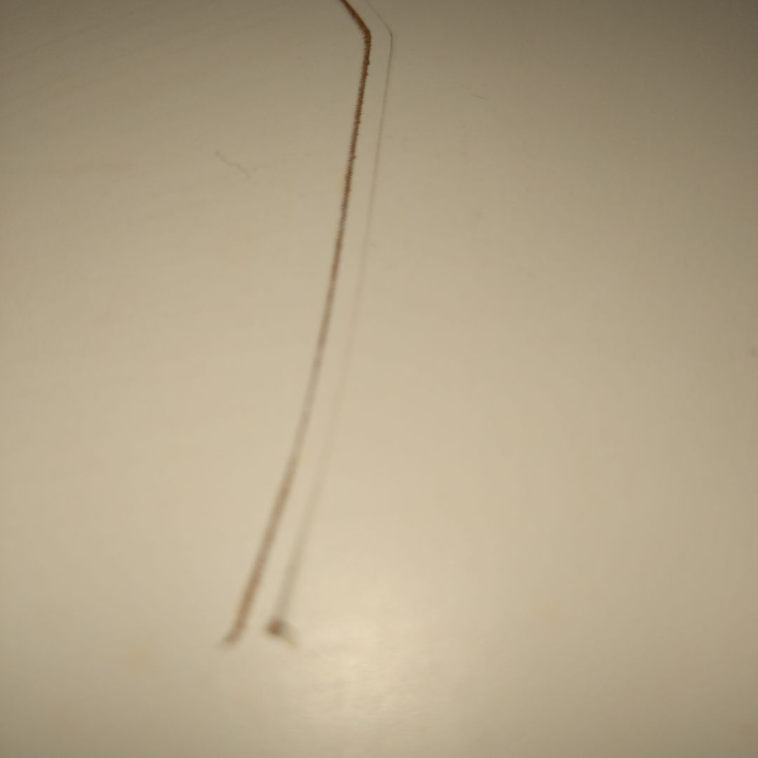 【15日まで！】unico　デンマーク製 丸テーブル \"Dual\"