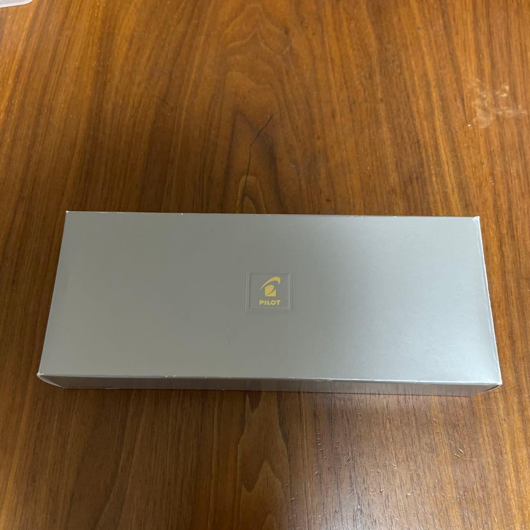 廃番カラー PILOT 万年筆 細字 ディープレッド