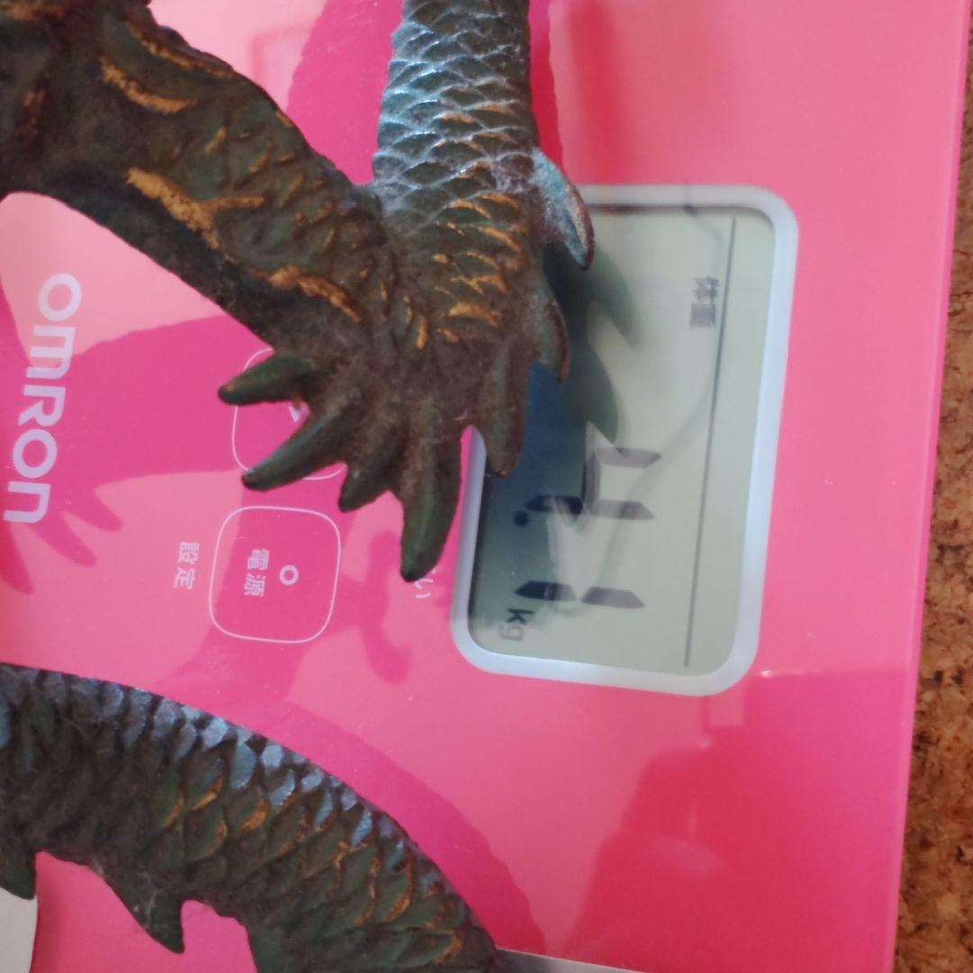 龍と鳳凰　不死鳥