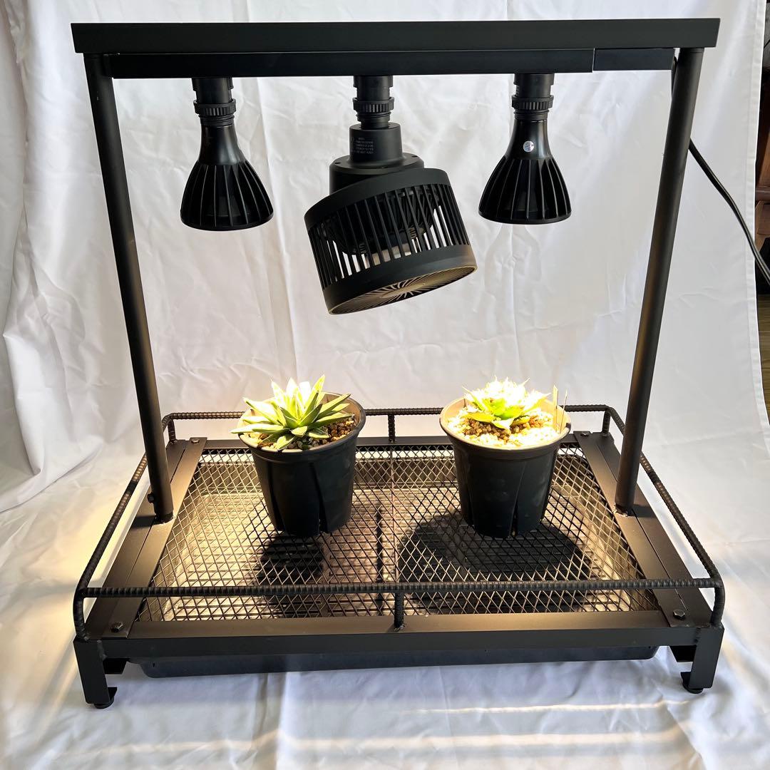 【ハンドメイド】植物棚 アイアンラック アガベ 塊根植物 多肉植物 観葉植物