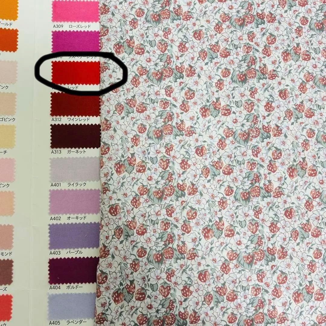 ささ★プロフ必読ページ　2着