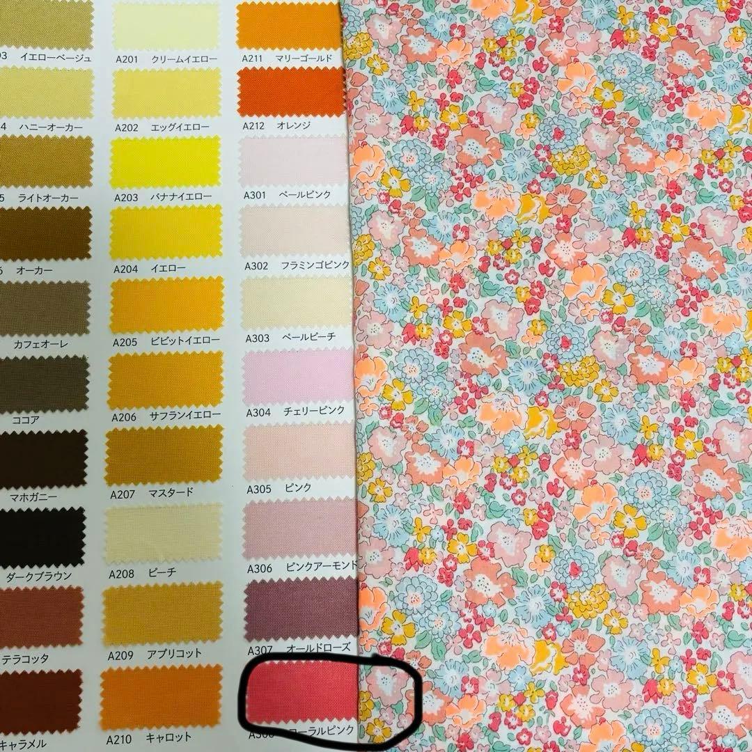 ささ★プロフ必読ページ　2着